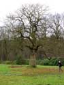 Chteau de Vriesel RANST / BELGIQUE: 