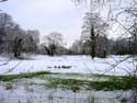 Winter in Lovenjoel BIERBEEK / BELGI: 