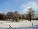 Winter in Lovenjoel BIERBEEK foto: 