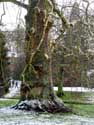 Park of Arenbergcastle HEVERLEE in LEUVEN / BELGIUM: 