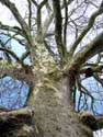 Park of Arenbergcastle HEVERLEE in LEUVEN / BELGIUM: 