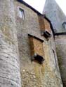 Vves Castle CELLES / HOUYET picture: 