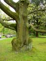 Royal Palace Garden Laken LAKEN / BRUSSEL picture: 