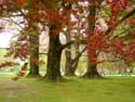 Royal Palace Garden Laken LAKEN in BRUSSEL / BELGIUM: 