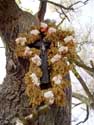 Arbre de Notre Bon Dieu KORTESSEM photo: 