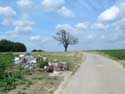 Arbre du Gibet - Galgenboom (te Boirs) BASSENGE / BITSINGEN foto: Foto door anonieme fotograaf. Enerzijds zie je veel vuil, anderzijds is de boom zo goed als dood!