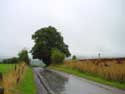 Limetree of the Chapel ROCHEFORT picture: 