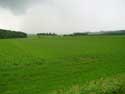 Landschap NAMUR  CINEY / BELGIQUE: 