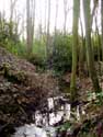 Kerkebeek ZEDELGEM / BELGIUM: 