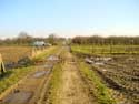 Romeinse Kassei of Steenweg (te Voort) BORGLOON / BELGI: 