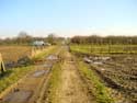 Roman Cobbled Road (in Voort) BORGLOON / BELGIUM: 