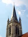 Saint-Hermes church and Crypt RONSE picture: 