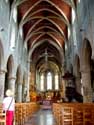 Sint-Hermeskerk en crypte RONSE / BELGI: 