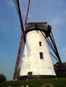 Artemeers Mill (between Poeke and Kanegem) AALTER picture: 