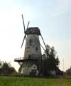 Ladies' Mill (in Kanegem) TIELT / BELGIUM: 