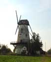 Moulin de la Femme ( Kanegem) TIELT / BELGIQUE: 