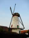 Knokmolen RUISELEDE foto: 