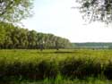 Landschap DAMME picture: 