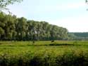 Landschap DAMME / BELGIQUE: 