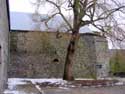 Castle's Farm DOURBES in VIROINVAL / BELGIUM: 