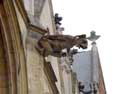 Cathdrale Saint-Quintin HASSELT / BELGIQUE: 