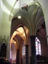 Saint Quintin's cathedral HASSELT / BELGIUM: 