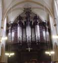 Sint-Quintinuskathedraal HASSELT / BELGIË: 