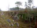 Landscape with pits NISMES in VIROINVAL / BELGIUM: 