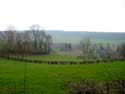 Paysage proche de la foret de Veurs TEUVEN  FOURONS / BELGIQUE: 