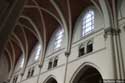 Onze-Lieve-Vrouwekerk ARENDONK / BELGI: 