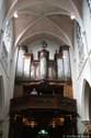 Saint Petrus' and Paulus' church MOL / BELGIUM: 