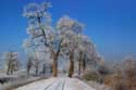 Snowy landscape of the Dyle river MECHELEN / BELGIUM: 