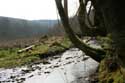 Haireu Brook (in Olloy-sur-Vioroin) Olloy-sur-Viroin in VIROINVAL / BELGIUM: 