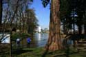 Etang les Goffes et chteau d'eau NASSOGNE photo: 