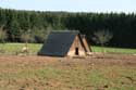 Magerotte centre d'engraissement de porcs en plein air NASSOGNE / BELGIQUE: 