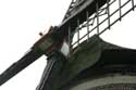 Scheldt dike Windmill Scheldt (in Doel) KIELDRECHT / BEVEREN picture: 