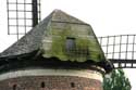 Moulin à vent de l'Escault (à Doel)  KIELDRECHT / BEVEREN photo: 