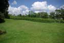 Saint Peter's abbey's wineyard GHENT picture: 