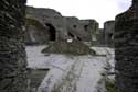 Castle LA ROCHE-EN-ARDENNE picture: 