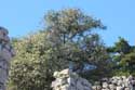 Castle Ruins Baka / CROATIA: 