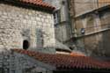 Saint-Chrysoginus' church Sibenik / CROATIA: 