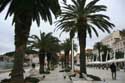 Promenade aan de zee Split in SPLIT / KROATI: 