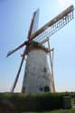 Brasser's Korenmolen Biggekerke / Nederland: 