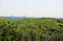 Dunes et mer Pays De Sel (Zoutelande)  Zoutelande / Pays Bas: 