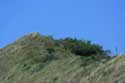 High Dunes County of Salt (Zoutelande) in Zoutelande / Netherlands: 