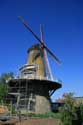 Moulin  Vent Hoek / Pays Bas: 