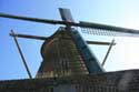 Moulin  Vent la Harmonie Biervliet / Pays Bas: 