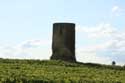 Old Tower Fargues / FRANCE: 