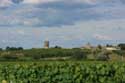 Old Tower Fargues / FRANCE: 