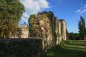 Pommiers castle Saint-Flix-de-Foncaude / FRANCE: 